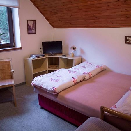 Apartment Harrachov/Riesengebirge 2400 Dış mekan fotoğraf