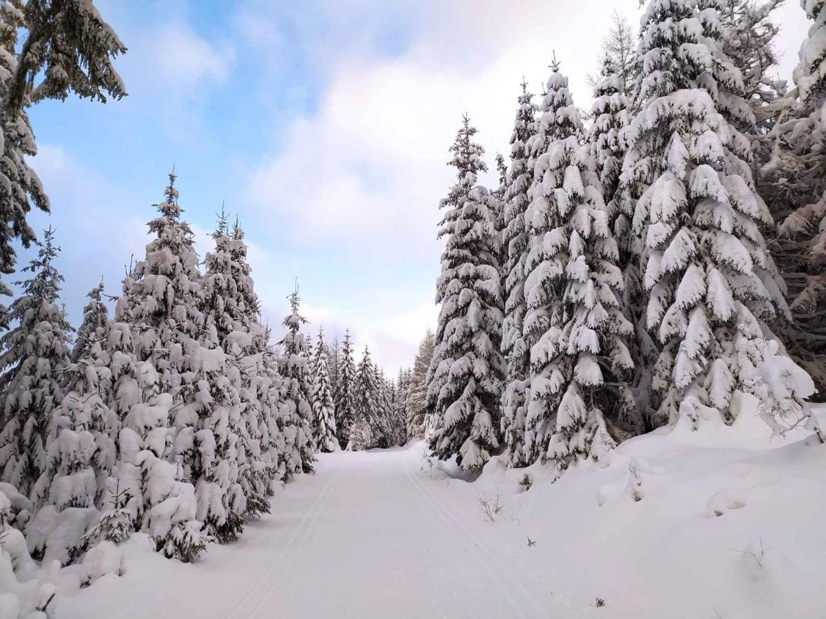 Apartment Harrachov/Riesengebirge 2400 Dış mekan fotoğraf