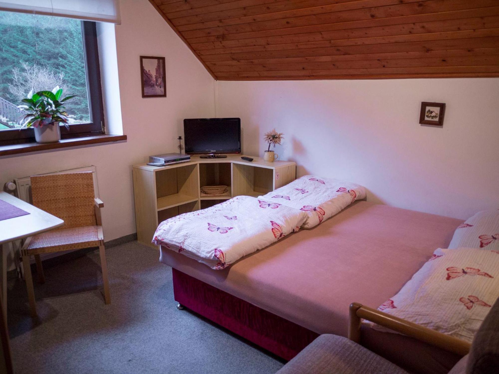 Apartment Harrachov/Riesengebirge 2400 Dış mekan fotoğraf